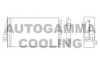 AUTOGAMMA 104936 Heat Exchanger, interior heating